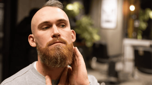 expert barbers
