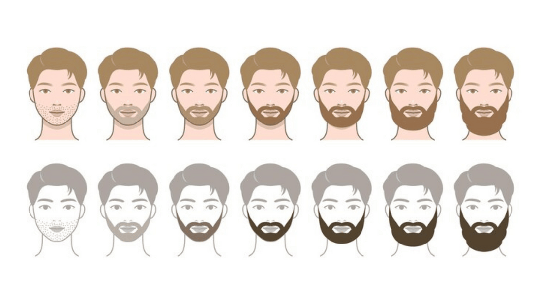 beard looks that suit different face shapes and grooming needs